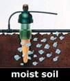 Tropf Blumat, moist soil